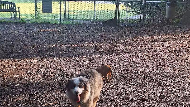 Joplin Dog Park - South Charleston, WV