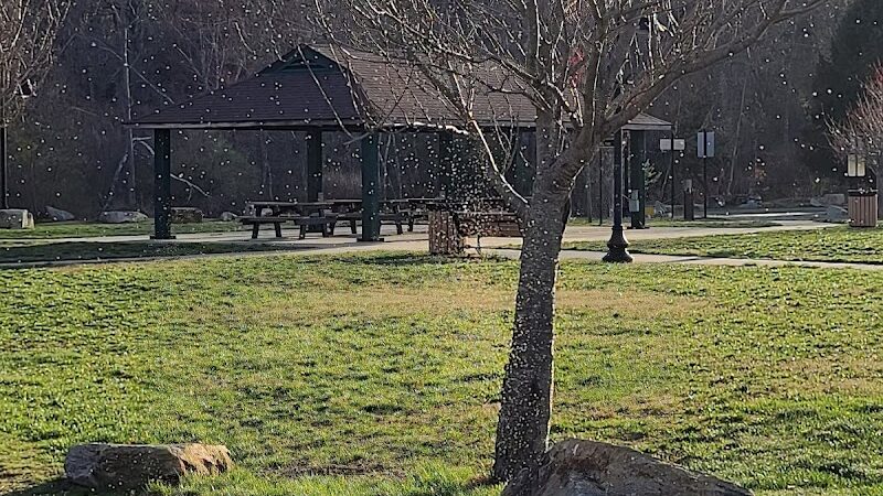 Mill Villages PARK - South Grafton, MA