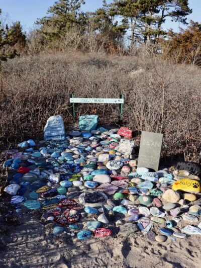 Dog Beach - South Kingstown, RI