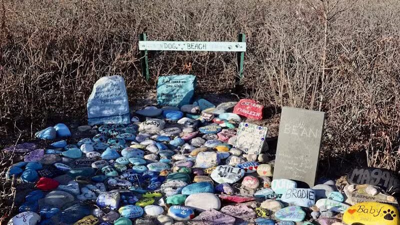 Dog Beach - South Kingstown, RI
