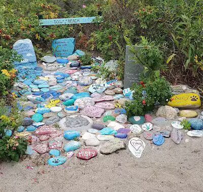 Dog Beach - South Kingstown, RI