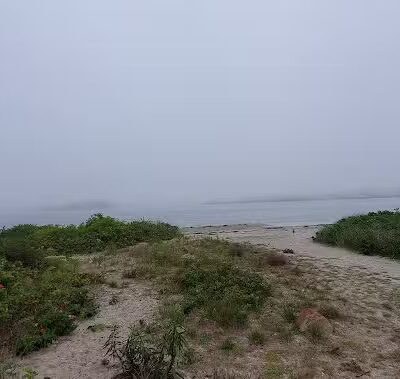 Dog Beach - South Kingstown, RI