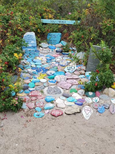 Dog Beach - South Kingstown, RI