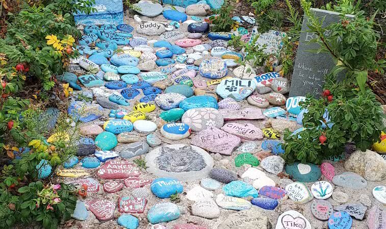 Dog Beach - South Kingstown, RI