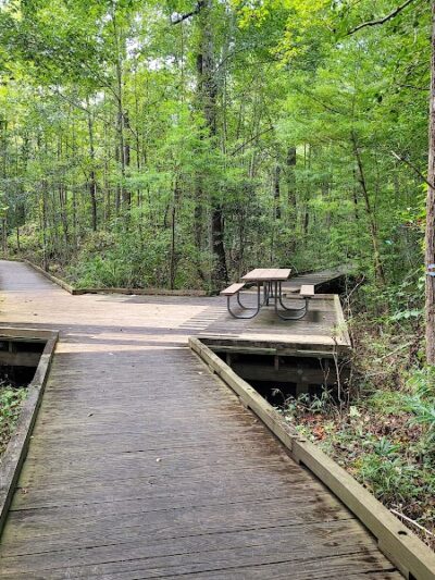 Dismal Swamp State Park - South Mills, NC
