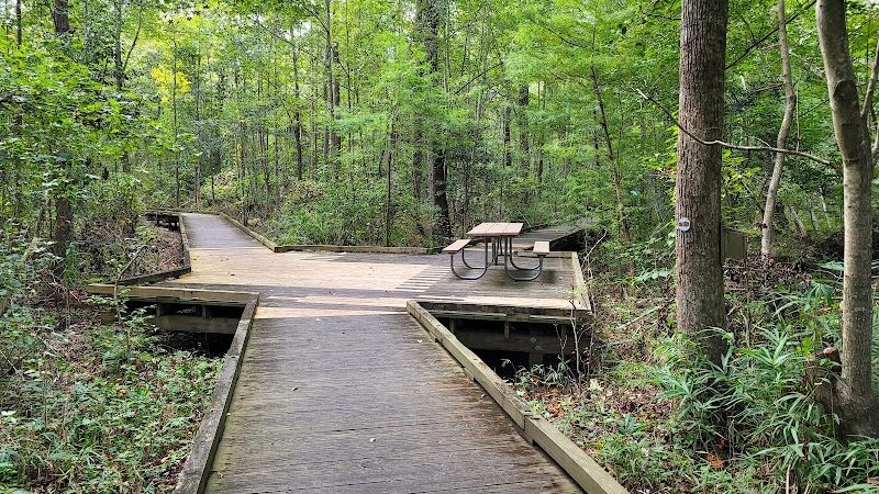 Dismal Swamp State Park - South Mills, NC