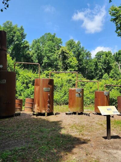 Dismal Swamp State Park - South Mills, NC