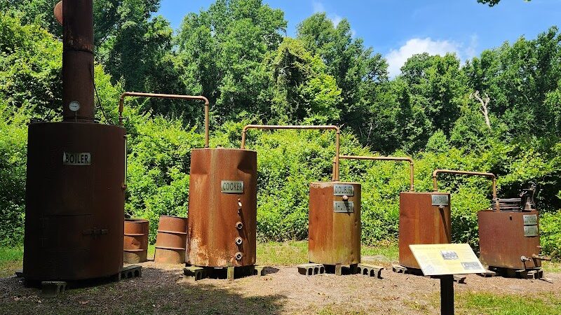 Dismal Swamp State Park - South Mills, NC