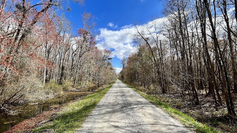 Dismal Swamp State Park - South Mills, NC