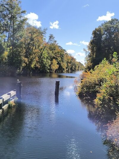 Dismal Swamp State Park - South Mills, NC