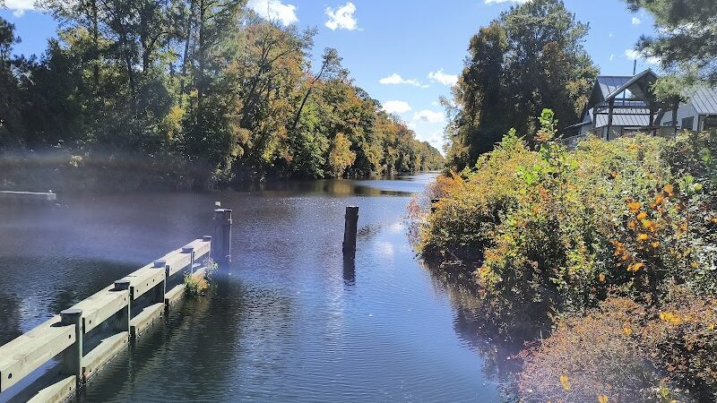 Dismal Swamp State Park - South Mills, NC