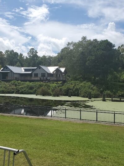 Dismal Swamp State Park - South Mills, NC