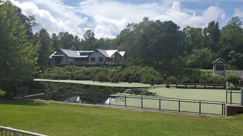 Dismal Swamp State Park - South Mills, NC
