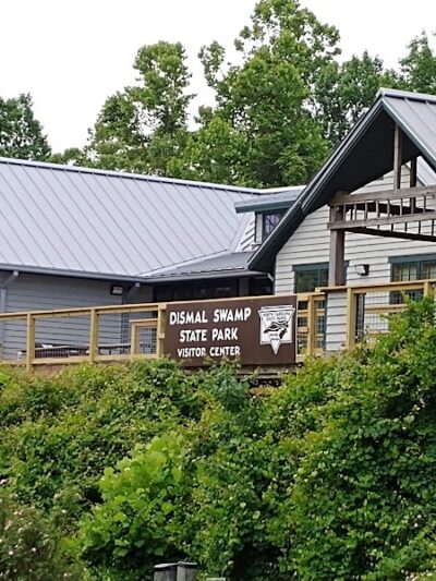 Dismal Swamp State Park - South Mills, NC
