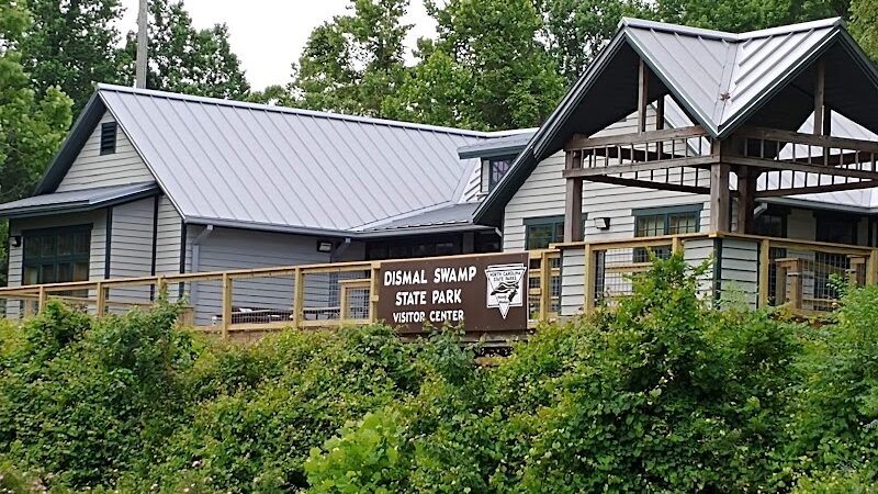Dismal Swamp State Park - South Mills, NC