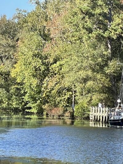Dismal Swamp State Park - South Mills, NC