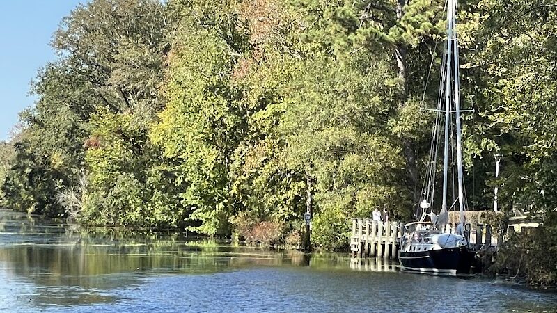 Dismal Swamp State Park - South Mills, NC