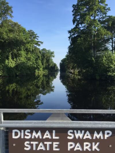 Dismal Swamp State Park - South Mills, NC