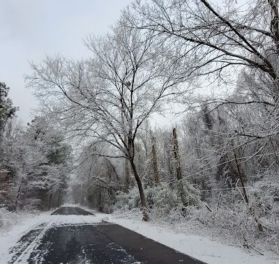 Dismal Swamp Trail - South Mills, NC
