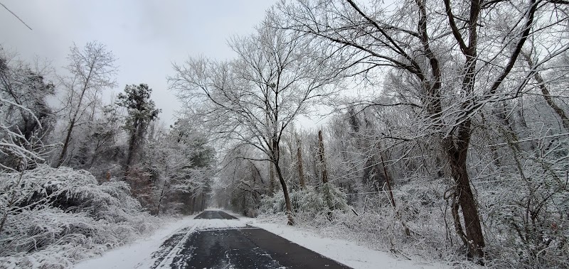 Dismal Swamp Trail - South Mills, NC