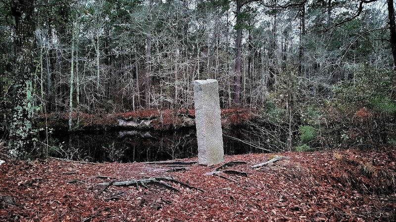 Dismal Swamp Trail - South Mills, NC