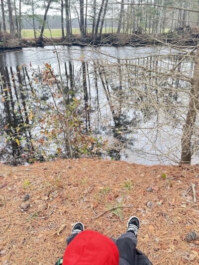 Dismal Swamp Trail - South Mills, NC