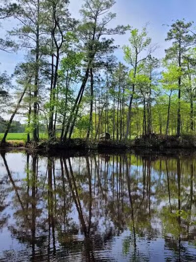Dismal Swamp Trail - South Mills, NC