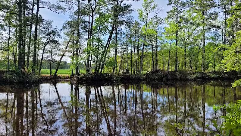 Dismal Swamp Trail - South Mills, NC