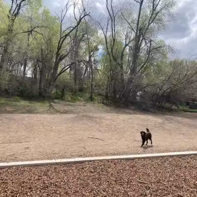 South Ogden Dog Park - South Ogden, UT