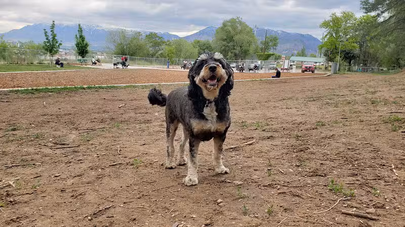 South Ogden Dog Park - South Ogden, UT