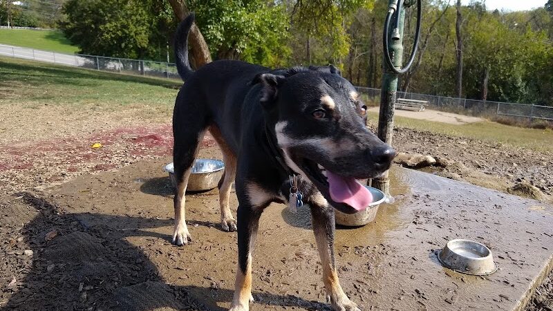 South Park Dog Park #2 - South Park Township, PA