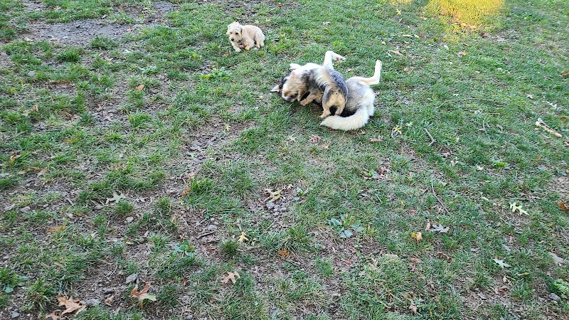 South Park Dog Park #2 - South Park Township, PA