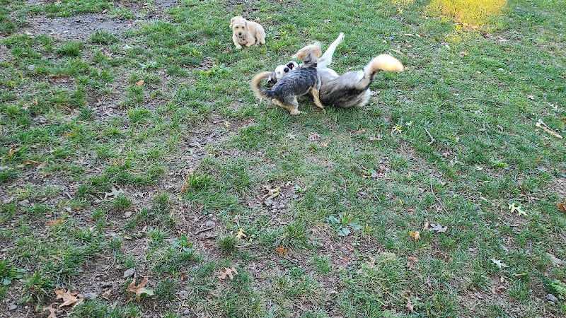 South Park Dog Park #2 - South Park Township, PA