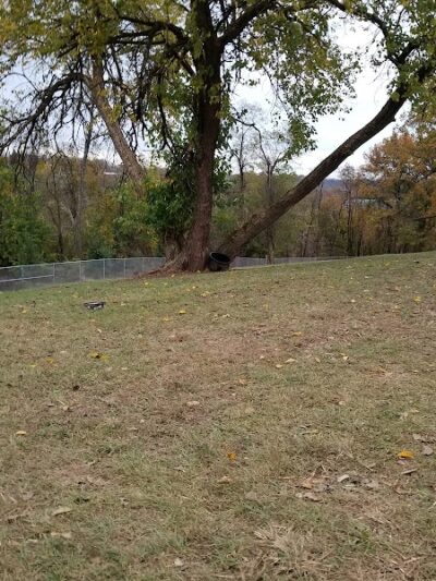 South Park Dog Park #2 - South Park Township, PA