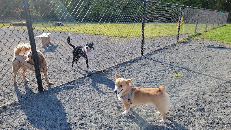 Southside Dog Park - South Plainfield, NJ