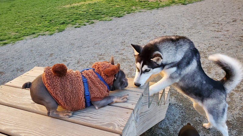 Southside Dog Park - South Plainfield, NJ