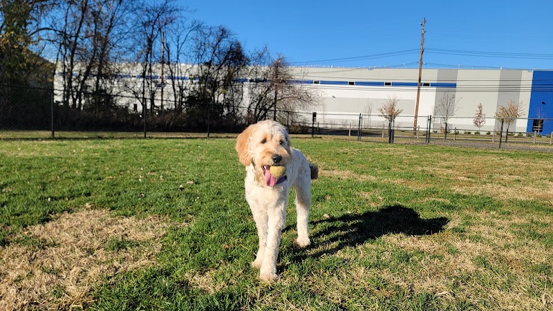 Southside Dog Park - South Plainfield, NJ