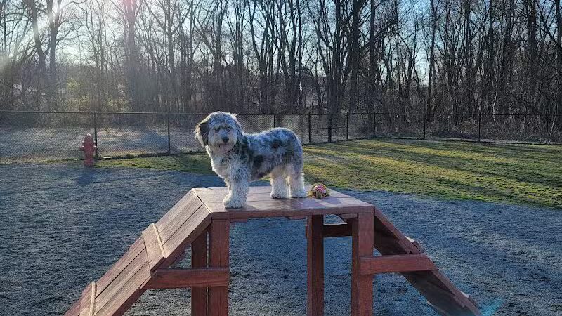 Southside Dog Park - South Plainfield, NJ