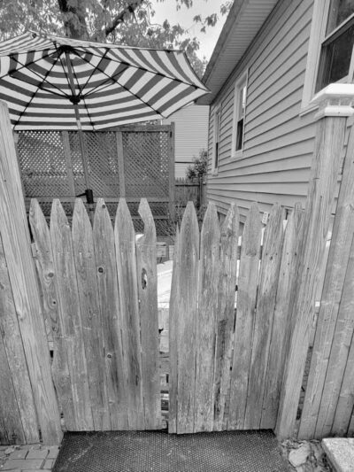 Fenced dog park - South Portland, ME