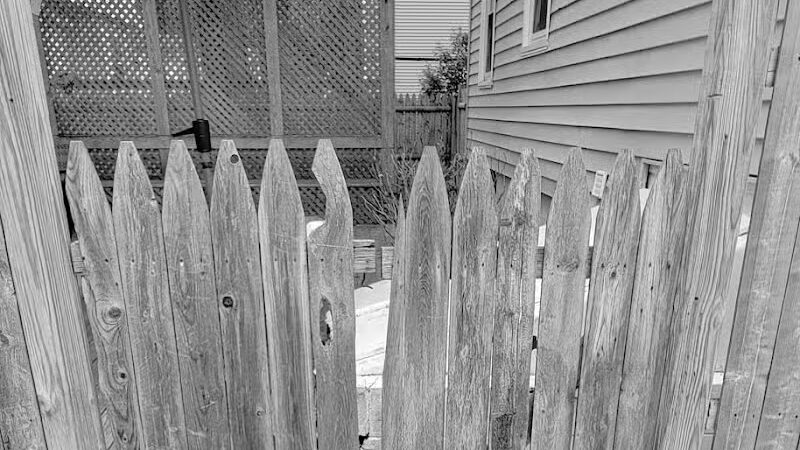 Fenced dog park - South Portland, ME