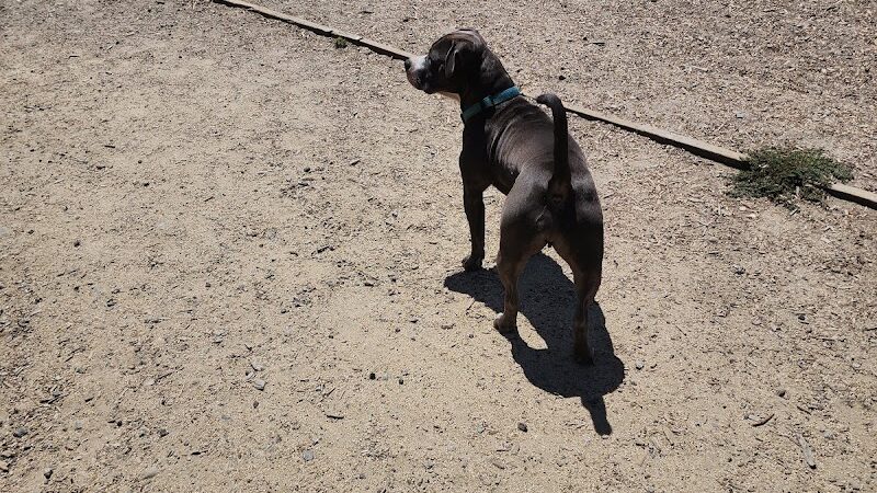 Centennial Dog Park - South San Francisco, CA