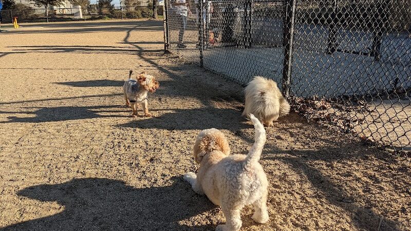 Centennial Dog Park - South San Francisco, CA