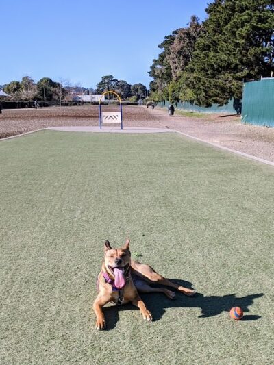Centennial Dog Park - South San Francisco, CA