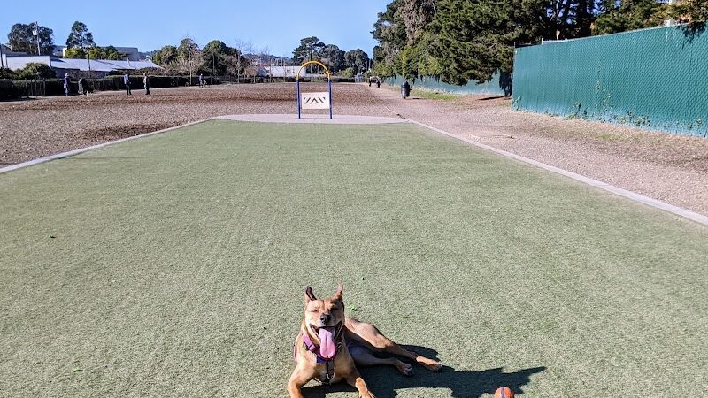 Centennial Dog Park - South San Francisco, CA