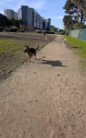 Centennial Dog Park - South San Francisco, CA