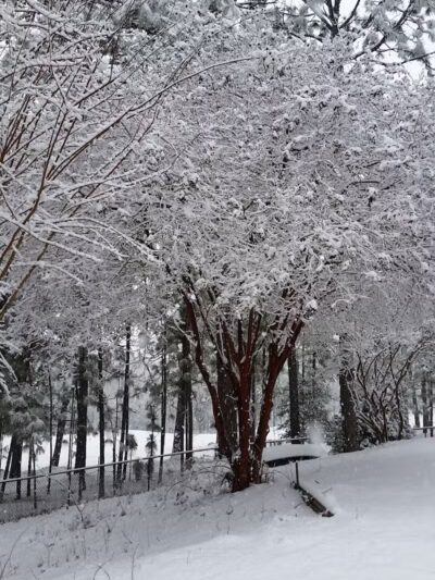 Sandhurst Park - Southern Pines, NC