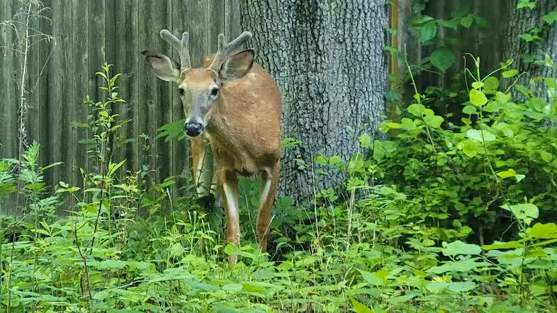 Southport Park - Southport, CT