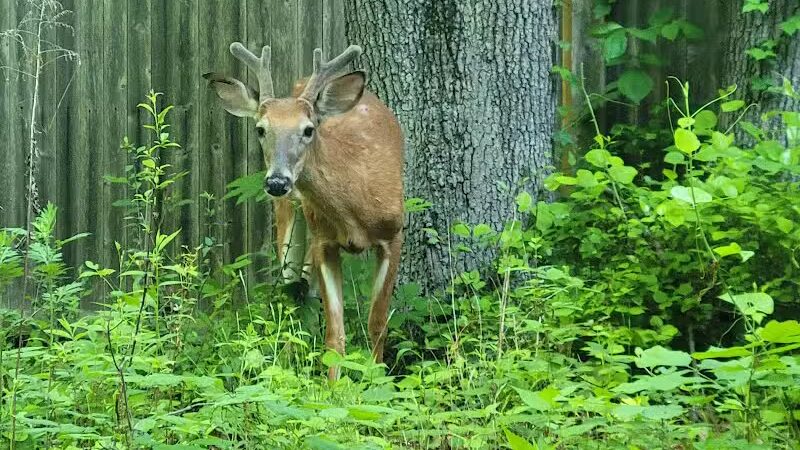 Southport Park - Southport, CT