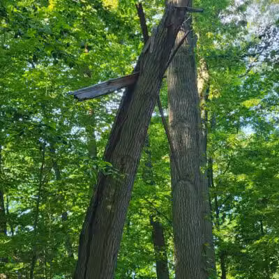 Southport Park - Southport, CT