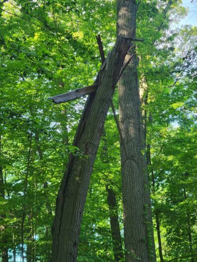 Southport Park - Southport, CT